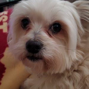 Meet your Posher, Kristin